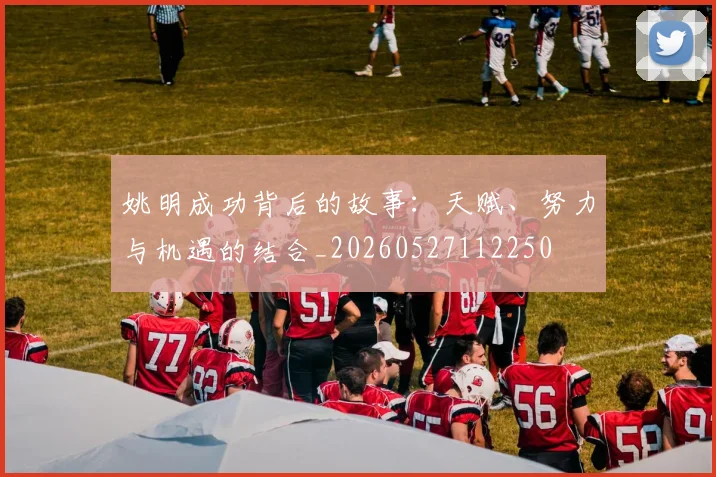 姚明成功背后的故事:天赋、努力与机遇的结合_20260527112250