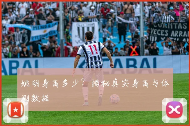 姚明身高多少?揭秘真实身高与体测数据