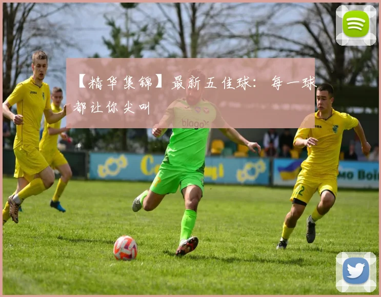 【精华集锦】最新五佳球：每一球都让你尖叫