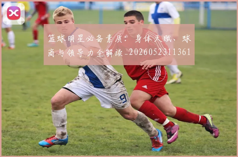 篮球明星必备素质：身体天赋、球商与领导力全解读_20260523113615